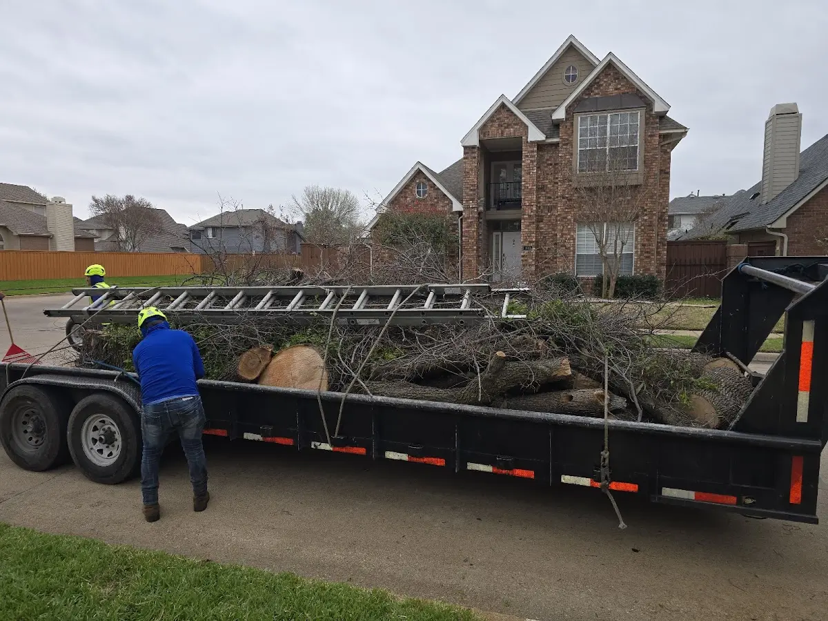 Expert Lot Clearing with proper safety equipment in Kilbourne